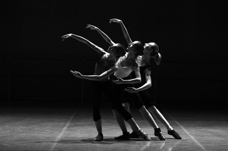 Conscious Choreography